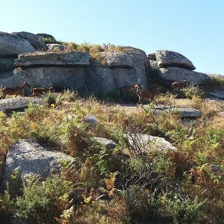 Dom wakacyjny Vivenda Agostinho Arcos de Valdevez