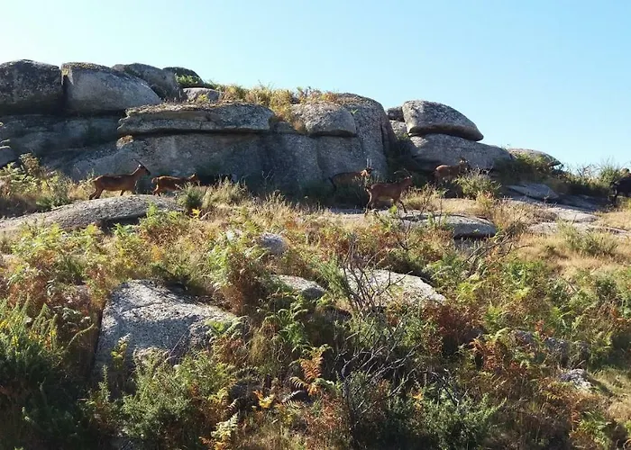 Hébergement de vacances Vivenda Agostinho Arcos de Valdevez